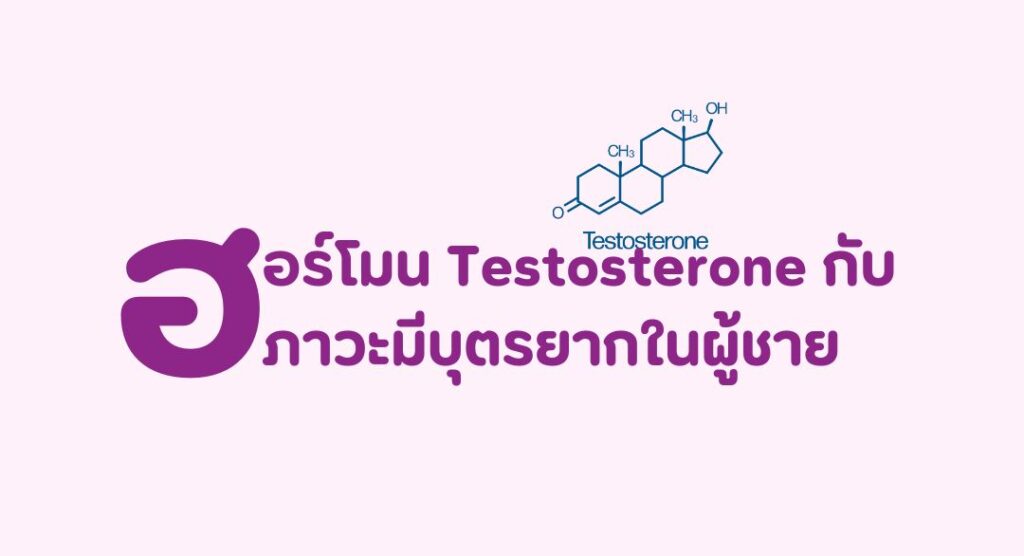 ฮอร์โมนเพศชาย, testosterone