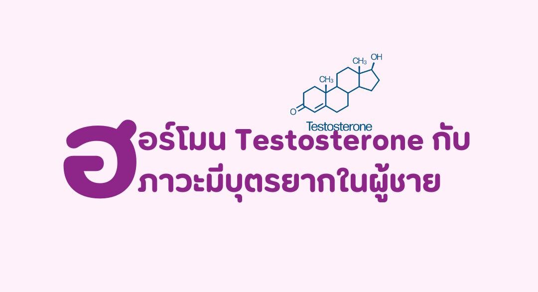 ฮอร์โมนเพศชาย, testosterone