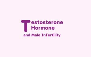 Testosterone Hormone and Male Infertility