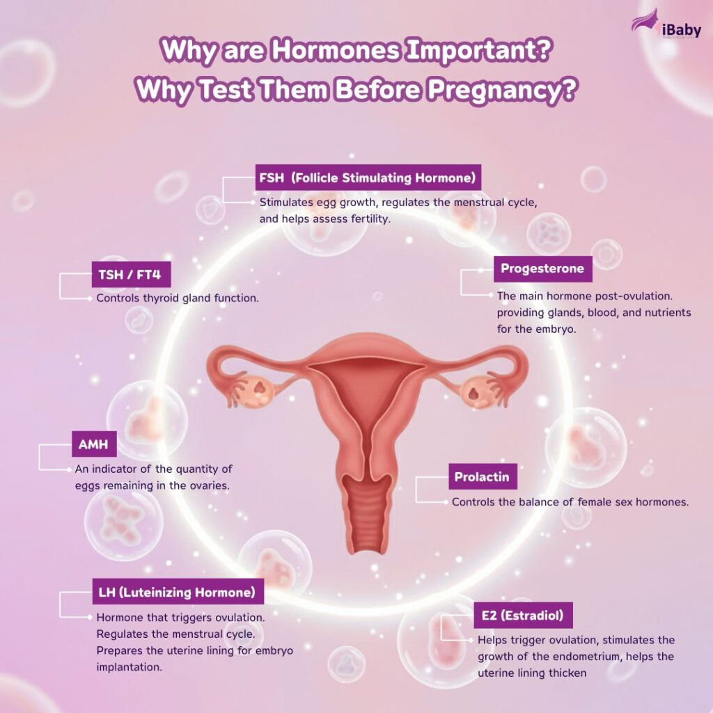 Why are Hormones Important? Why Test Them Before Pregnancy?