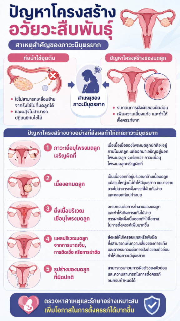 ปัญหาที่เกี่ยวกับโครงสร้างของอวัยวะสืบพันธุ์