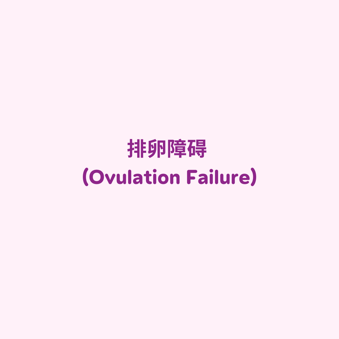 排卵障碍 (Ovulation Failure)