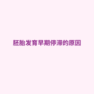 胚胎发育早期停滞的原因