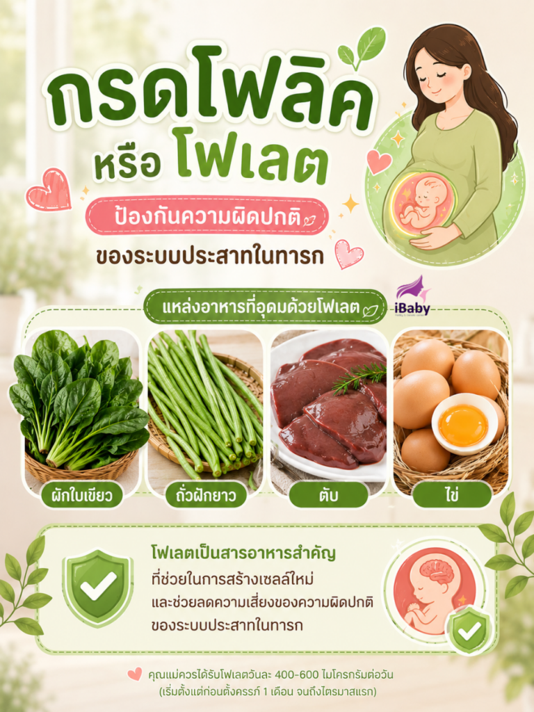 อาคารคุณแม่ที่ตั้งครรภ์, กรดโฟลิค, โฟเลต