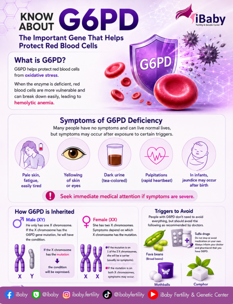 G6PD 