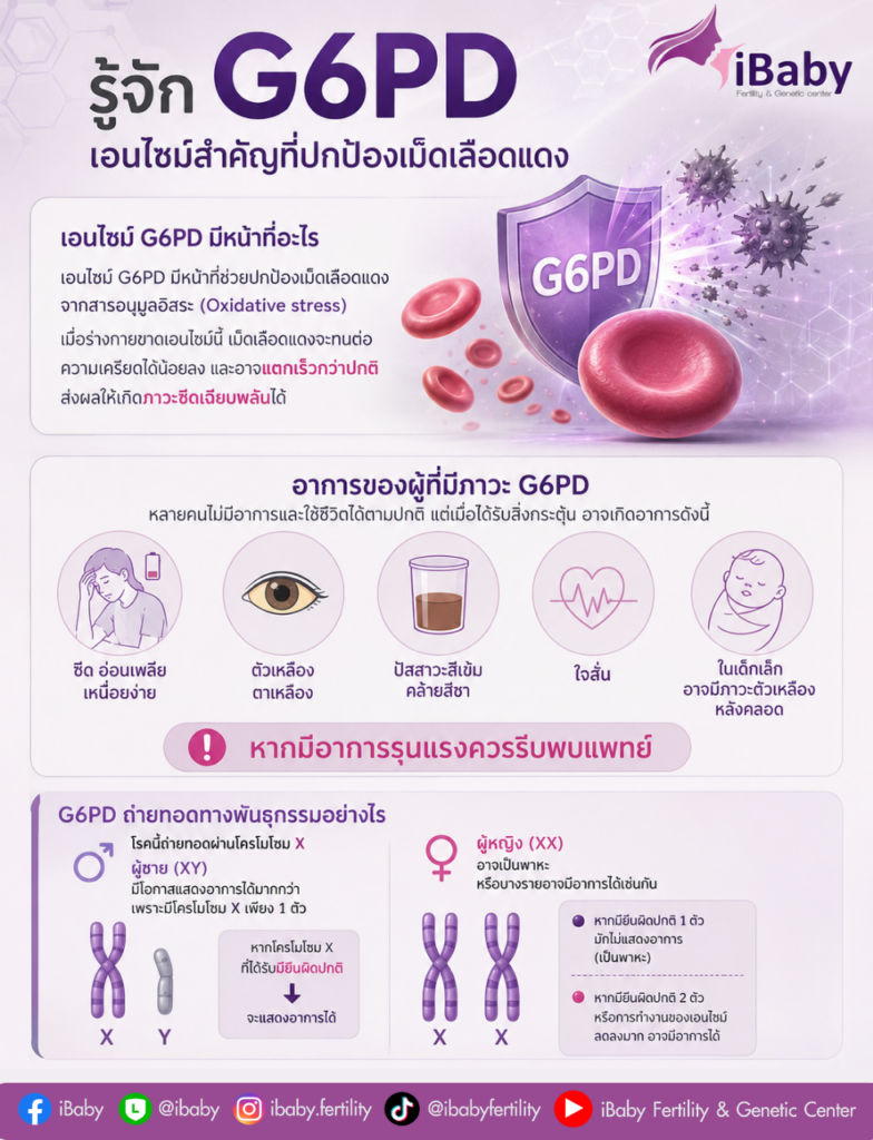 G6PD 